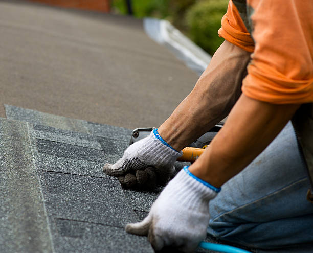 Best Storm Damage Roof Repair  in Fairview, UT